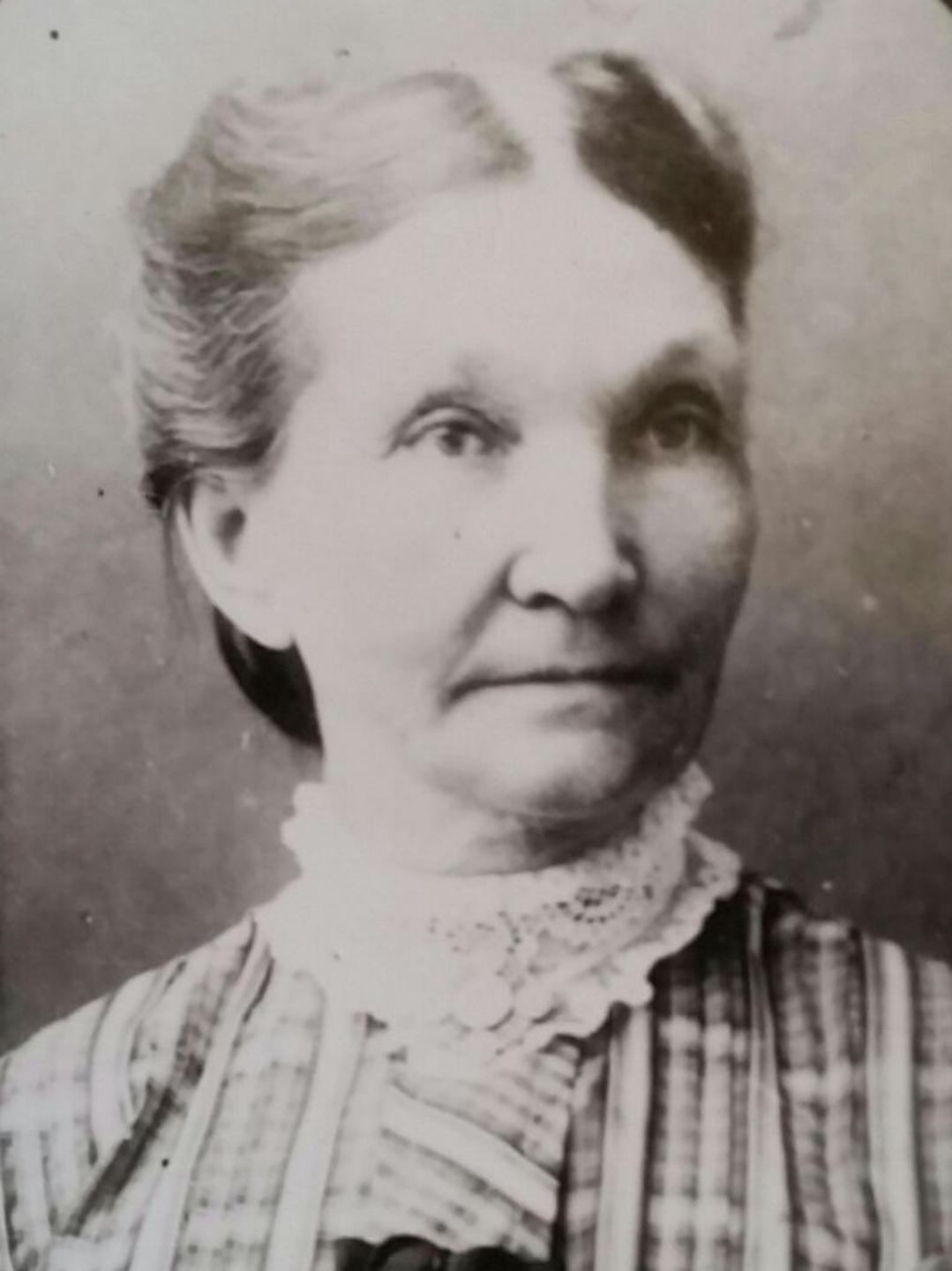 Sarah Ellen Sharp (1846 - 1937) Profile